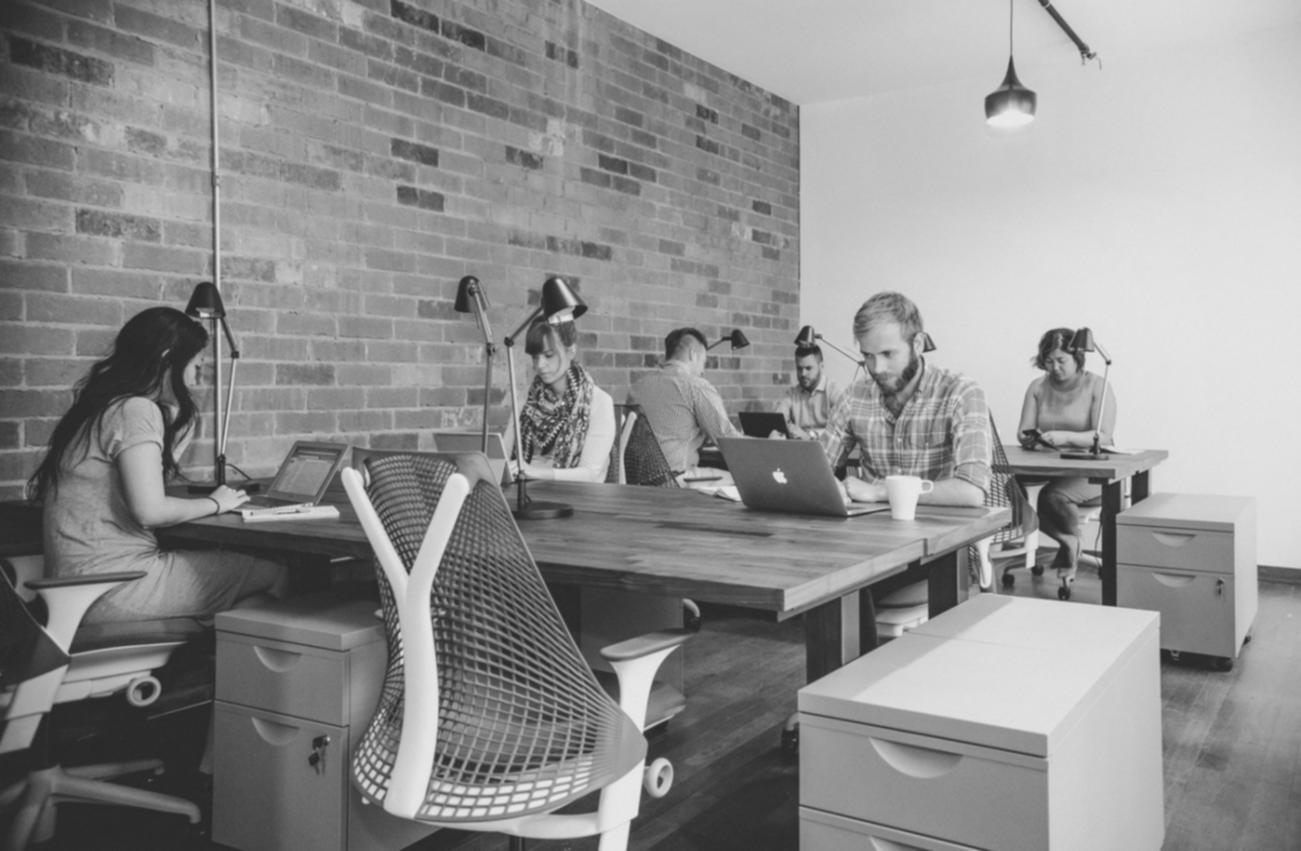 Alvermi founder reviewing course content